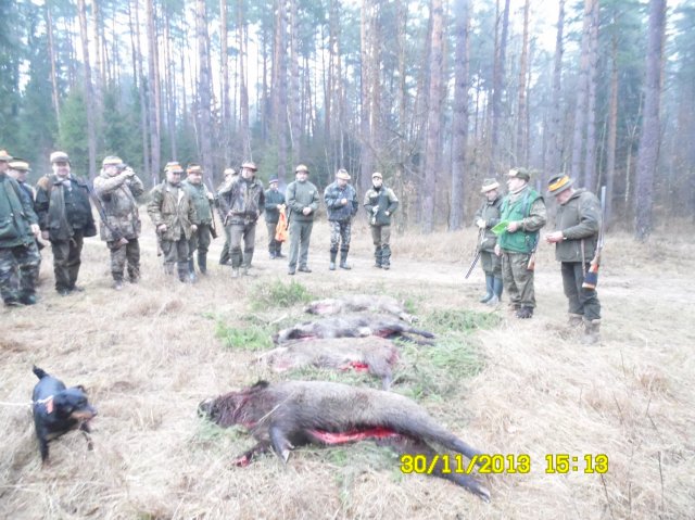 Polowanie zarządów 2013